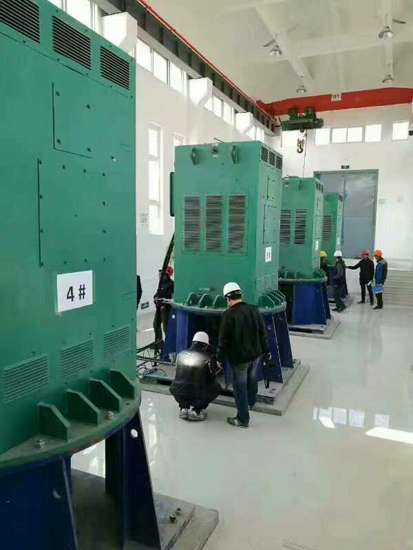 Y5601-8某污水处理厂使用我厂的立式高压电机安装现场安装尺寸