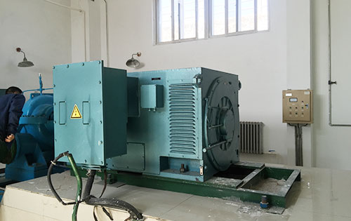 Y5601-8某水电站工程主水泵使用我公司高压电机