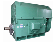 Y5601-8Y系列6KV高压电机